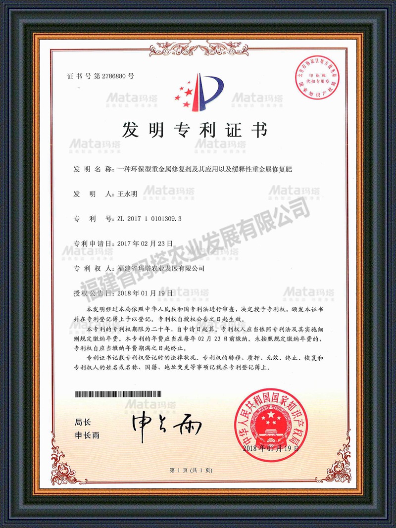 纸件PA16032823SC-F2-优先审查专利证书.jpg